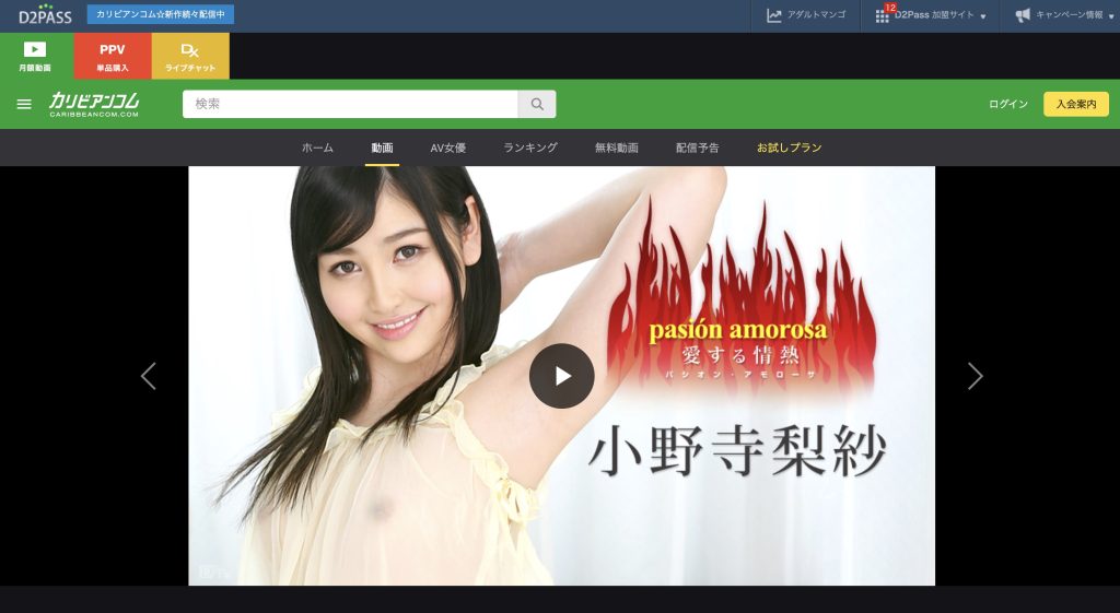  清楚系美女の小野寺梨紗が滴る涎と愛液で乱れまくる絶頂シーン｜パシオン・アモローサ5 オナニー中毒美女