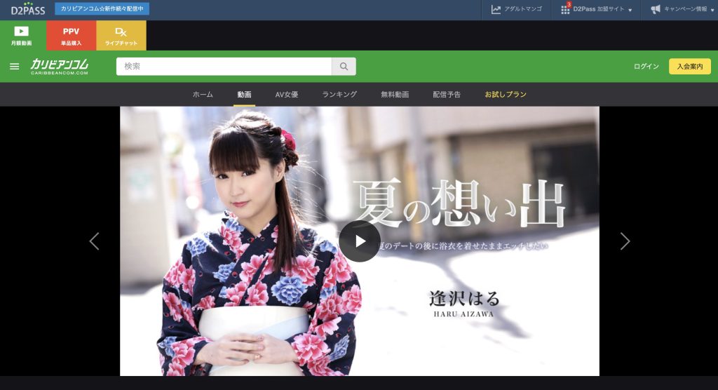 夏の想い出 Vol.12 逢沢はる 中出しセックスで二人が気持ちよくなるクライマックス画像